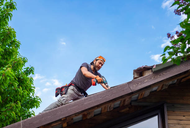 Best Roof Moss and Algae Removal  in Yorkville, NY